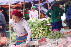 ha-giang-with-local-guide-culture