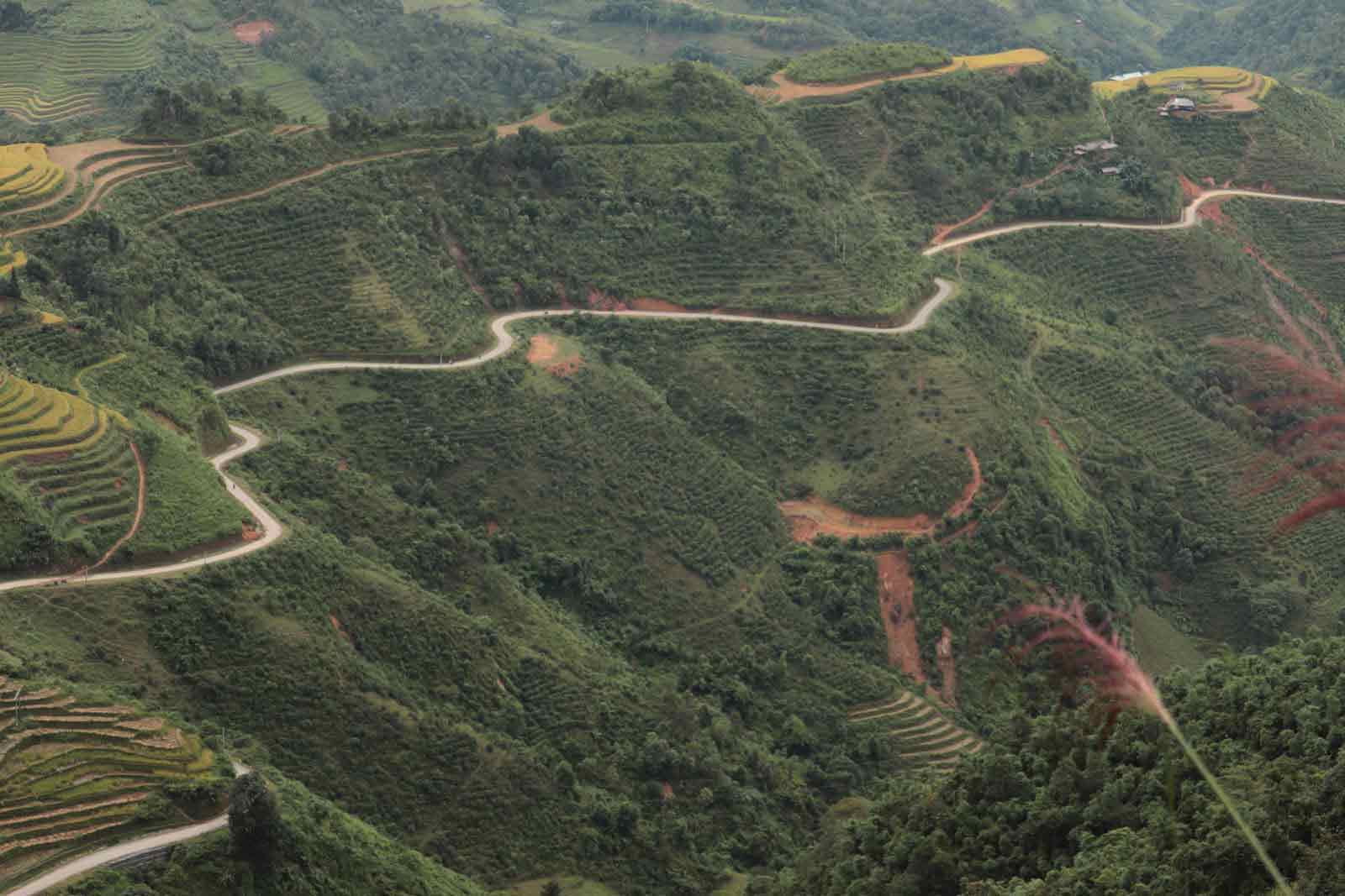 Ha Giang Loop by Jeep – 3D 2N Adventure