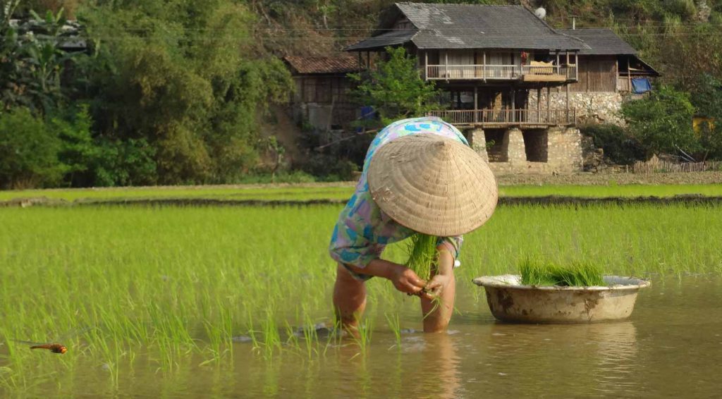 5 reasons to add Ba Be Lake to your itinerary in Vietnam - ethnic minority groups