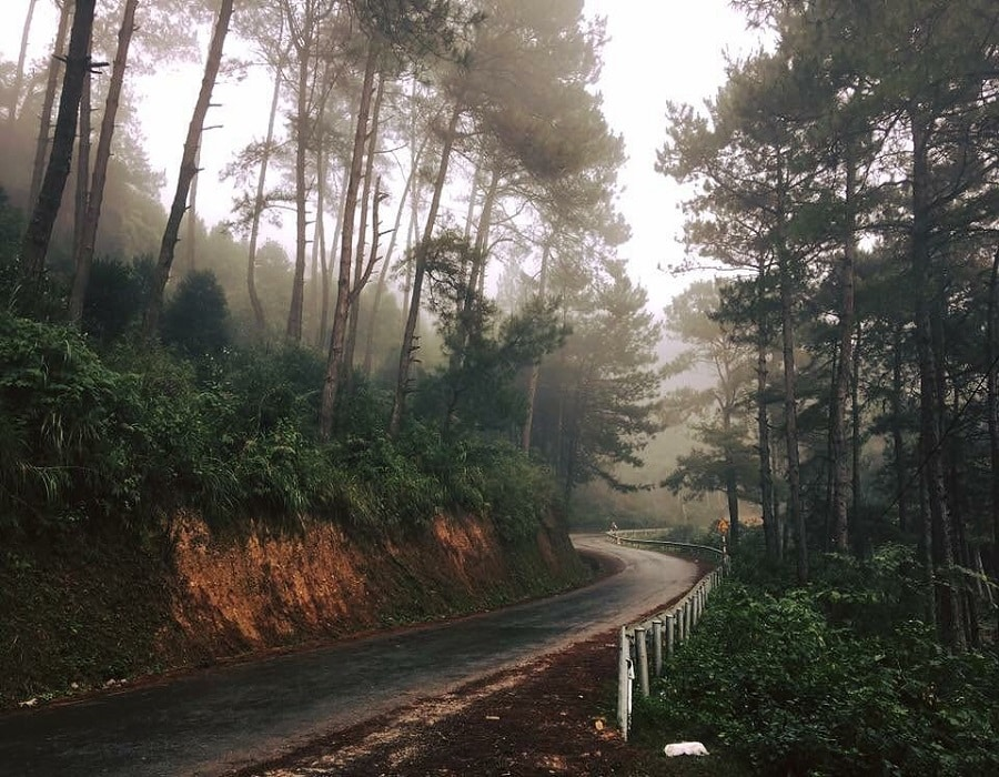 Jeep driving slowly through Yen Minh pine forest on Ha Giang hidden road