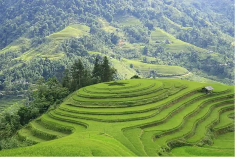 The Hurry, Hurry Northern Ha Giang Loop