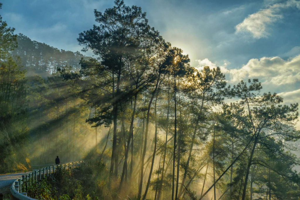 Morning mist over Scenic Ha Giang Motorbike Routes from Quan Ba Heaven Gate to Yen Minh Pine Forest, capturing Vietnam’s quiet northern highlands.